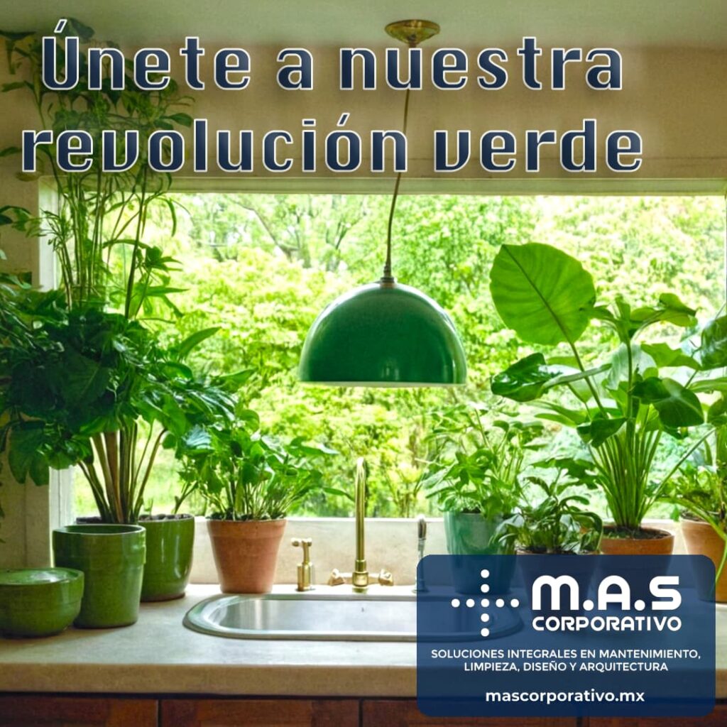 La revolución verde continua Tecnohigiene by MAS Corporativo Cancún Quintana Roo México 1